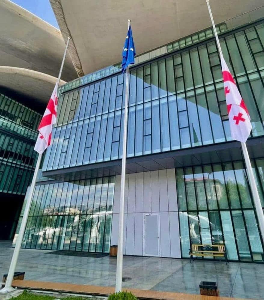 Public Service Hall building with Georgian flags